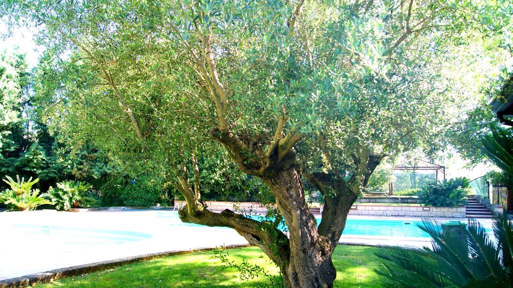 Agriturismo La Colombaia Capua Bagian luar foto